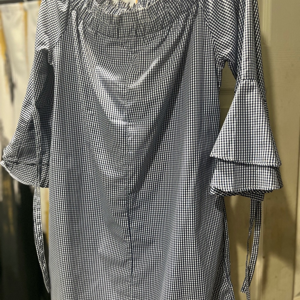 Style Envy Blue and White Gingham Dress